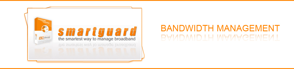 Network Management Software | Traffic Shaper Software | Bandwidth ...